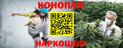 прущая мука Гатчина
