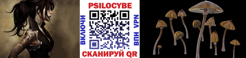Псилоцибиновые грибы GOLDEN TEACHER где купить наркоту Долгопрудный