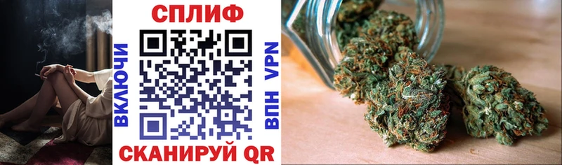 как найти закладки  Долгопрудный  Бошки Шишки THC 21% 